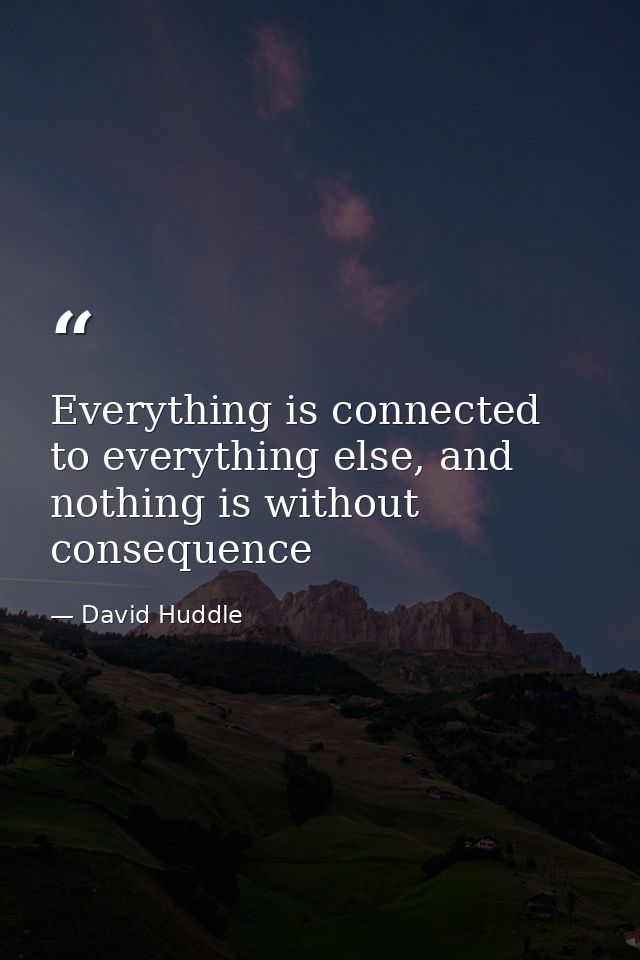Everything is connected to everything else, and nothing is without consequence — David Huddle