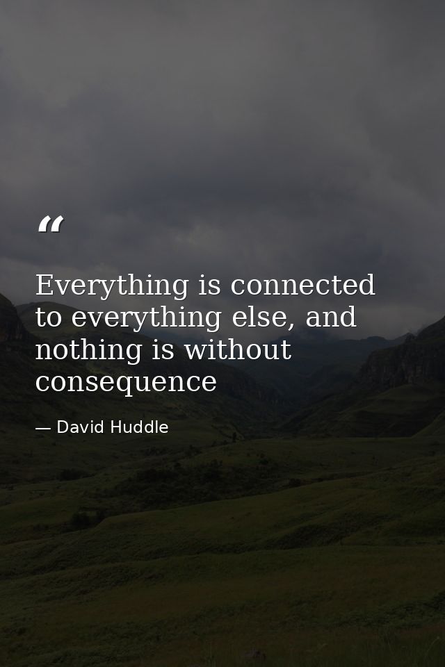 Everything is connected to everything else, and nothing is without consequence — David Huddle