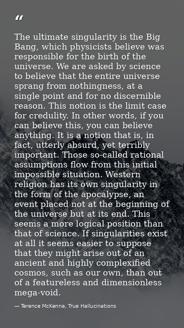 The ultimate singularity is the Big Bang, which physicists believe was responsible for the birth of the universe. We are — Terence McKenna, True Hallucinations