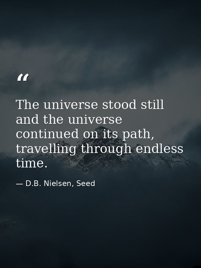 The universe stood still and the universe continued on its path, travelling through endless time. — D.B. Nielsen, Seed
