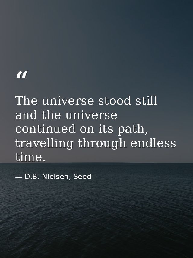 The universe stood still and the universe continued on its path, travelling through endless time. — D.B. Nielsen, Seed