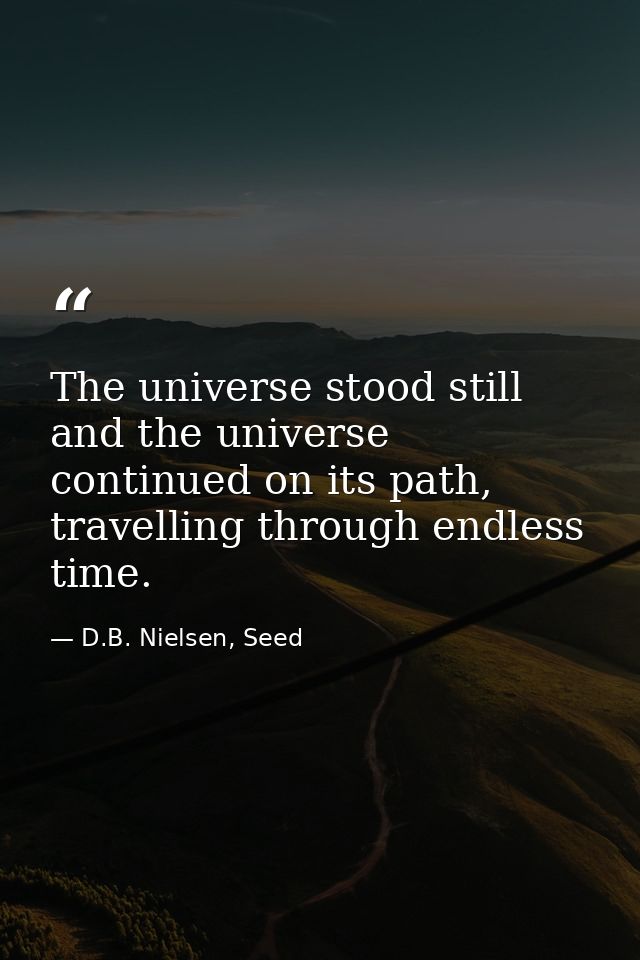 The universe stood still and the universe continued on its path, travelling through endless time. — D.B. Nielsen, Seed