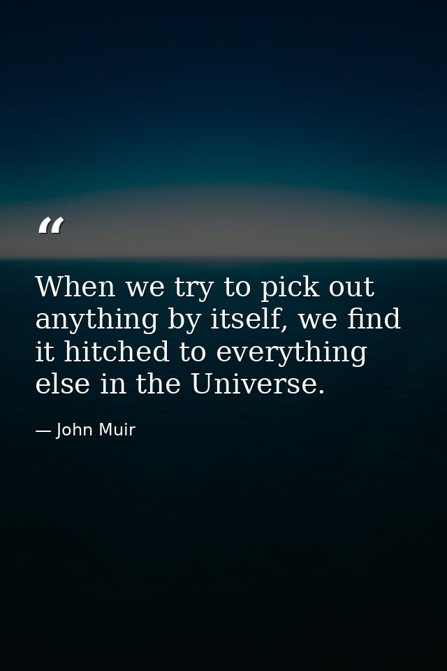 When we try to pick out any­thing by itself, we find it hitched to every­thing else in the Uni­verse. — John Muir