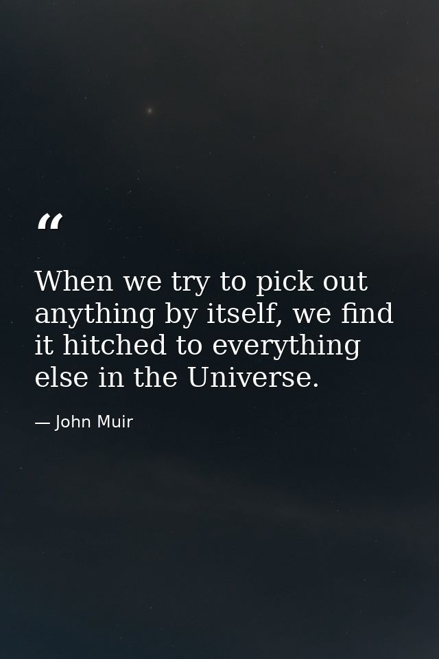 When we try to pick out any­thing by itself, we find it hitched to every­thing else in the Uni­verse. — John Muir