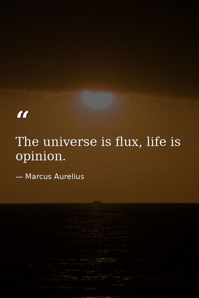The universe is flux, life is opinion. — Marcus Aurelius