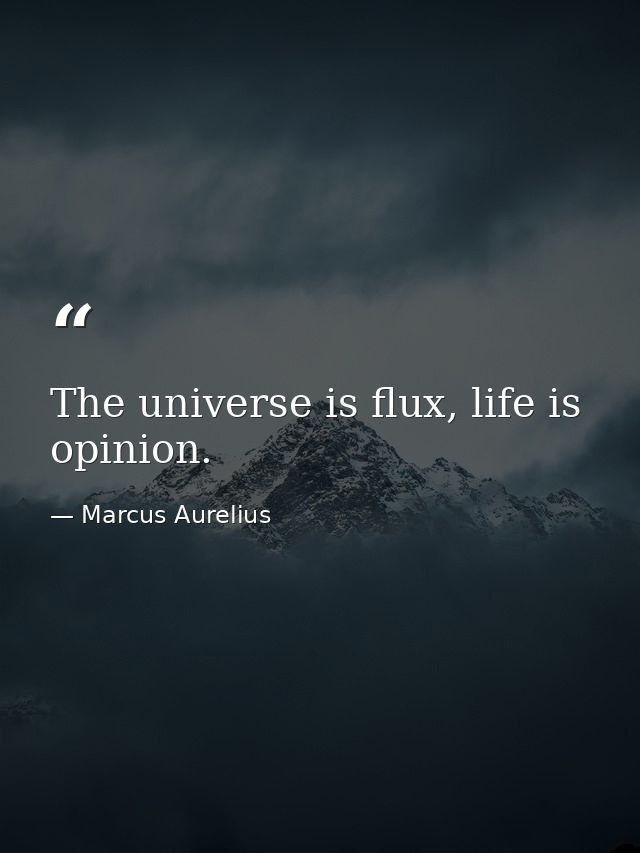 The universe is flux, life is opinion. — Marcus Aurelius