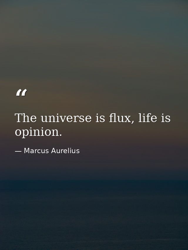 The universe is flux, life is opinion. — Marcus Aurelius