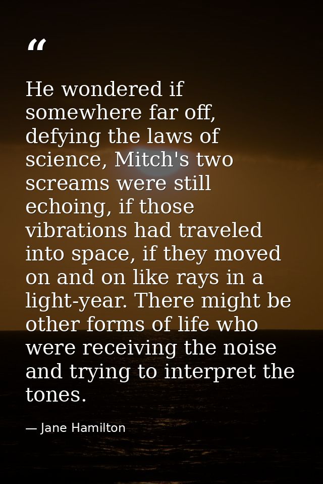 He wondered if somewhere far off, defying the laws of science, Mitch's two screams were still echoing, if those vibratio — Jane Hamilton
