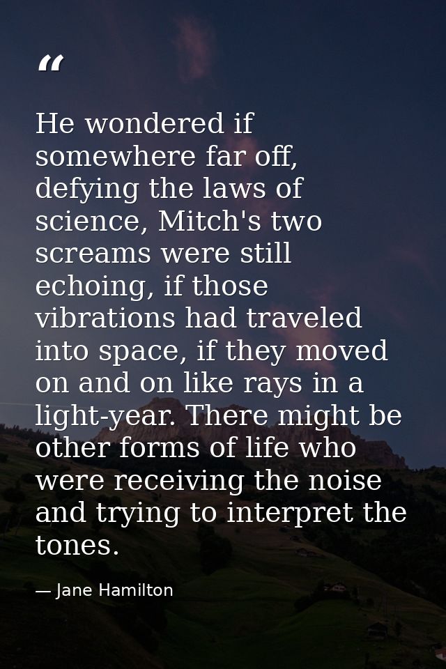 He wondered if somewhere far off, defying the laws of science, Mitch's two screams were still echoing, if those vibratio — Jane Hamilton