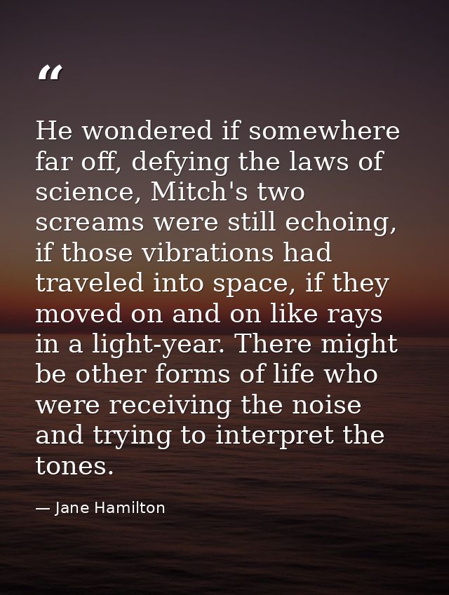 He wondered if somewhere far off, defying the laws of science, Mitch's two screams were still echoing, if those vibratio — Jane Hamilton