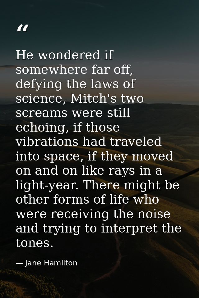 He wondered if somewhere far off, defying the laws of science, Mitch's two screams were still echoing, if those vibratio — Jane Hamilton