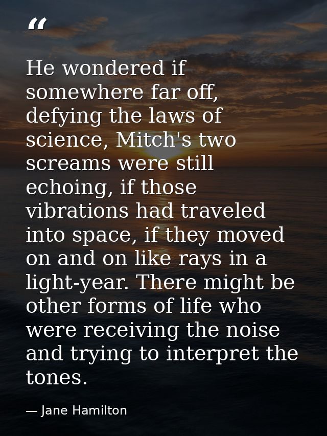 He wondered if somewhere far off, defying the laws of science, Mitch's two screams were still echoing, if those vibratio — Jane Hamilton