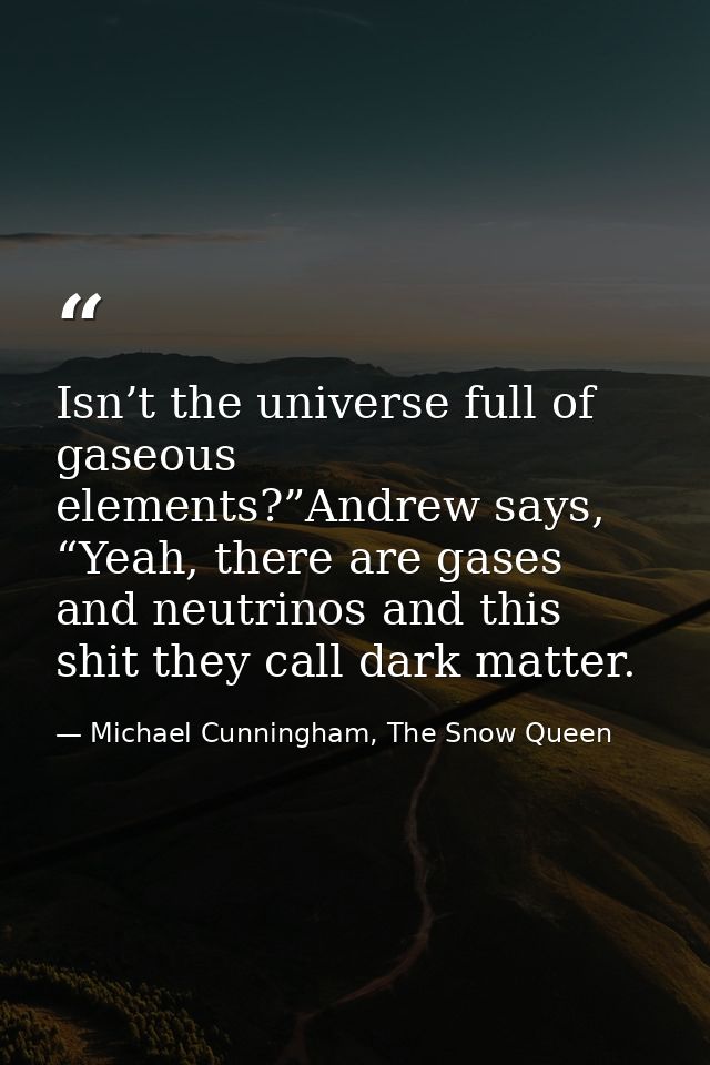 Isn’t the universe full of gaseous elements?”Andrew says, “Yeah, there are gases and neutrinos and this shit they call d — Michael Cunningham, The Snow Queen