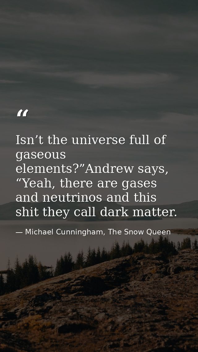 Isn’t the universe full of gaseous elements?”Andrew says, “Yeah, there are gases and neutrinos and this shit they call d — Michael Cunningham, The Snow Queen