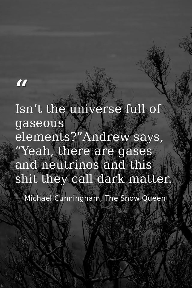 Isn’t the universe full of gaseous elements?”Andrew says, “Yeah, there are gases and neutrinos and this shit they call d — Michael Cunningham, The Snow Queen