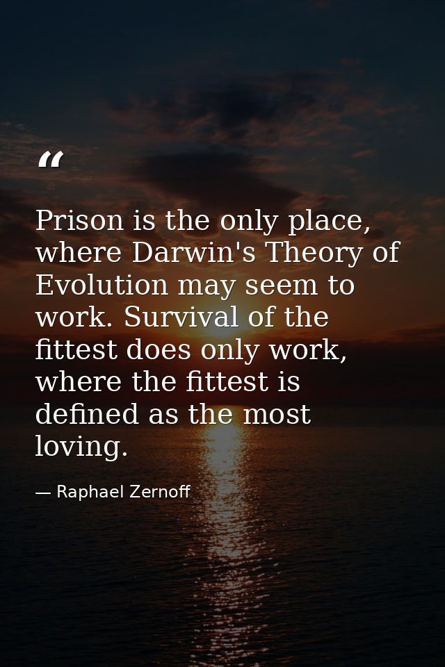 Prison is the only place, where Darwin's Theory of Evolution may seem to work. Survival of the fittest does only work, w — Raphael Zernoff