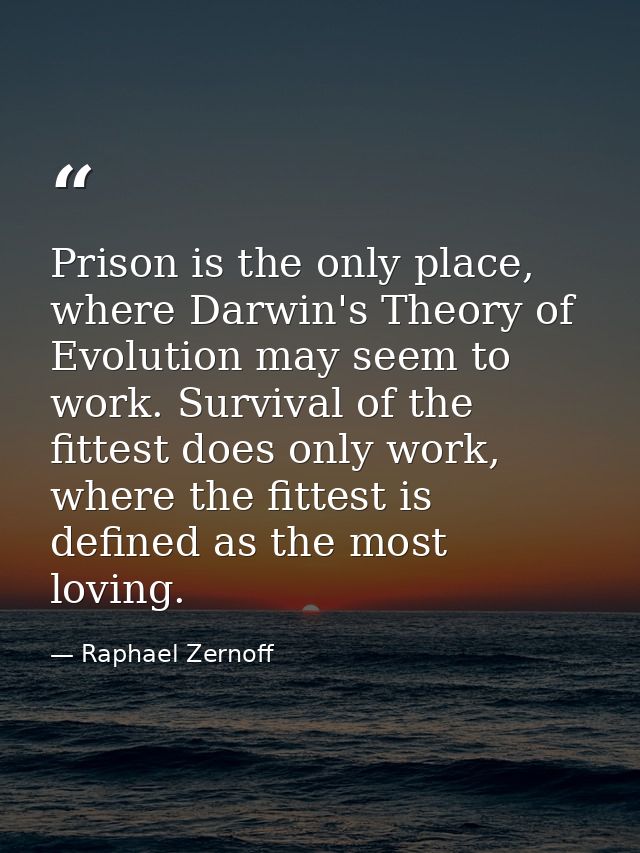 Prison is the only place, where Darwin's Theory of Evolution may seem to work. Survival of the fittest does only work, w — Raphael Zernoff
