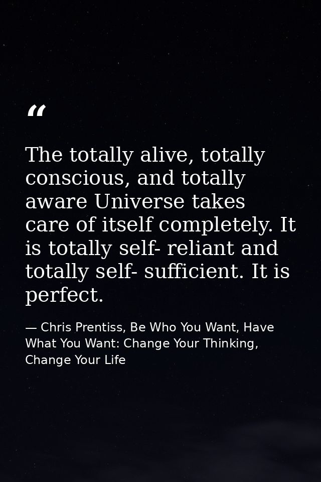 The totally alive, totally conscious, and totally aware Universe takes care of itself completely. It is totally self- re — Chris Prentiss, Be Who You Want, Have What You Want: Change Your Thinking, Change Your Life