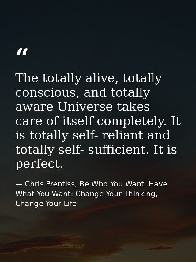 The totally alive, totally conscious, and totally aware Universe takes care of itself completely. It is totally self- re — Chris Prentiss, Be Who You Want, Have What You Want: Change Your Thinking, Change Your Life
