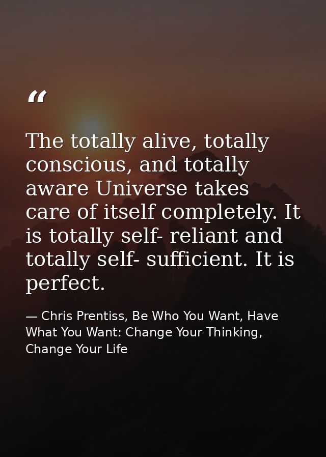 The totally alive, totally conscious, and totally aware Universe takes care of itself completely. It is totally self- re — Chris Prentiss, Be Who You Want, Have What You Want: Change Your Thinking, Change Your Life