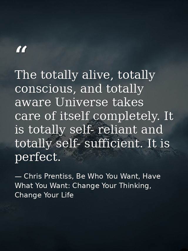 The totally alive, totally conscious, and totally aware Universe takes care of itself completely. It is totally self- re — Chris Prentiss, Be Who You Want, Have What You Want: Change Your Thinking, Change Your Life