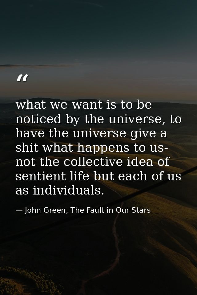 what we want is to be noticed by the universe, to have the universe give a shit what happens to us- not the collective i — John Green, The Fault in Our Stars