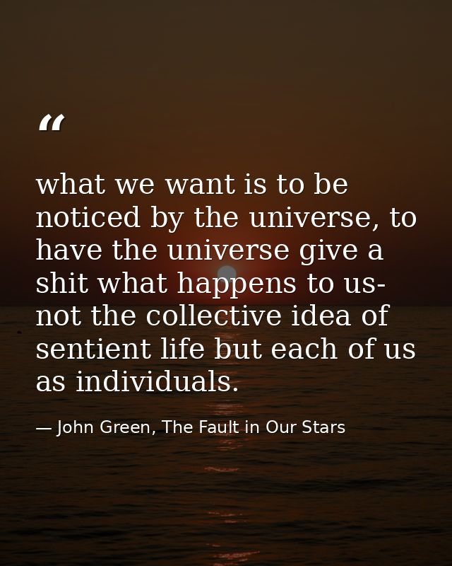 what we want is to be noticed by the universe, to have the universe give a shit what happens to us- not the collective i — John Green, The Fault in Our Stars