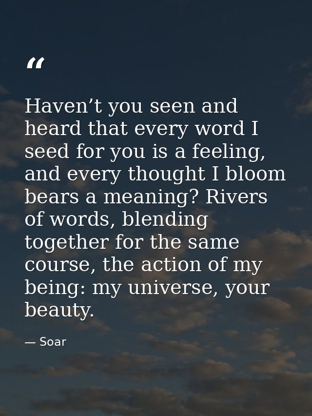 Haven’t you seen and heard that every word I seed for you is a feeling, and every thought I bloom bears a meaning? River — Soar