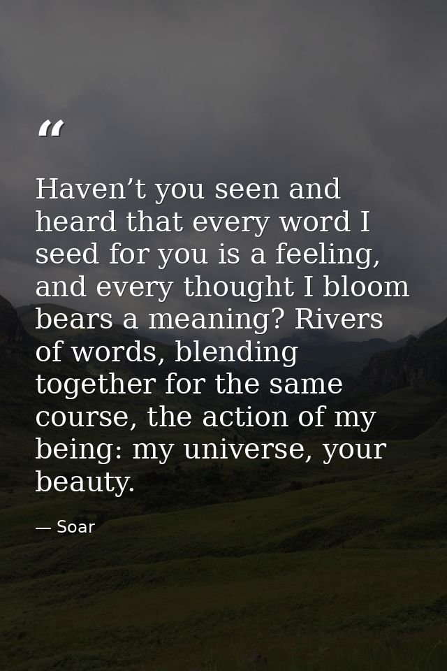 Haven’t you seen and heard that every word I seed for you is a feeling, and every thought I bloom bears a meaning? River — Soar