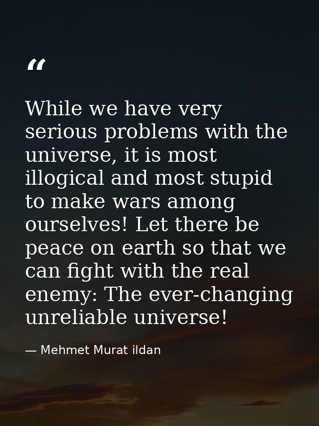 While we have very serious problems with the universe, it is most illogical and most stupid to make wars among ourselves — Mehmet Murat ildan