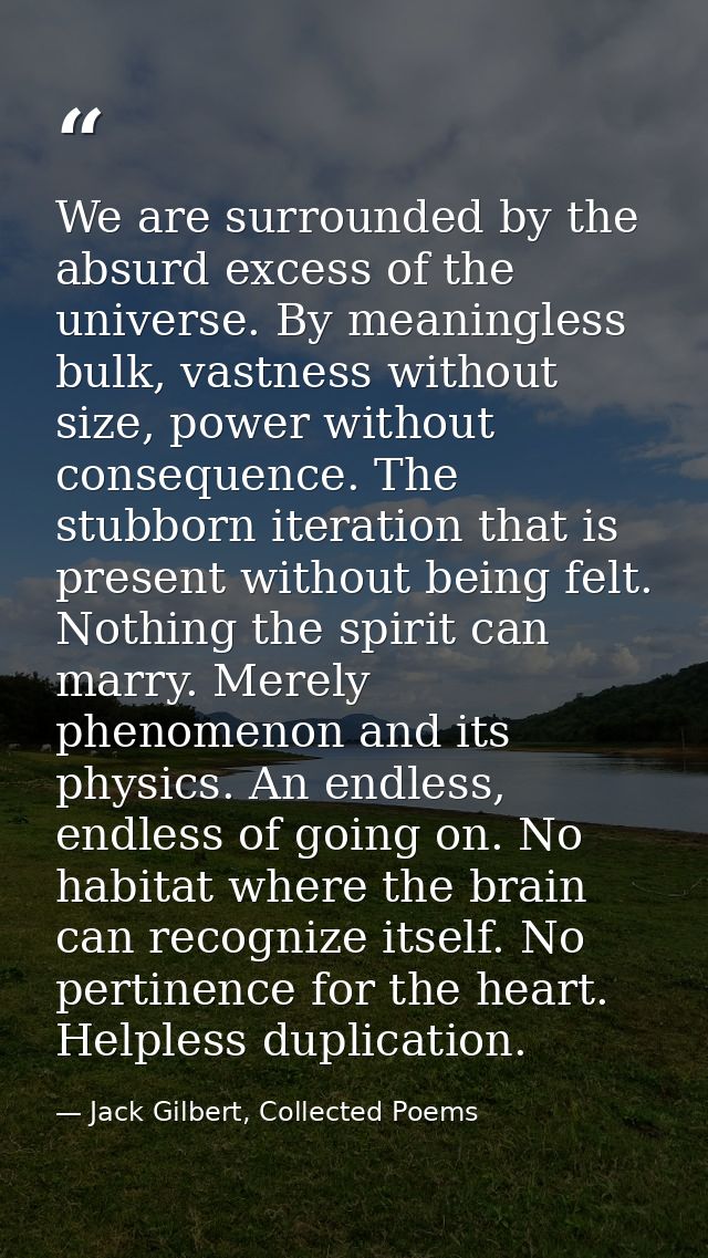 We are surrounded by the absurd excess of the universe. By meaningless bulk, vastness without size, power without conseq — Jack Gilbert, Collected Poems