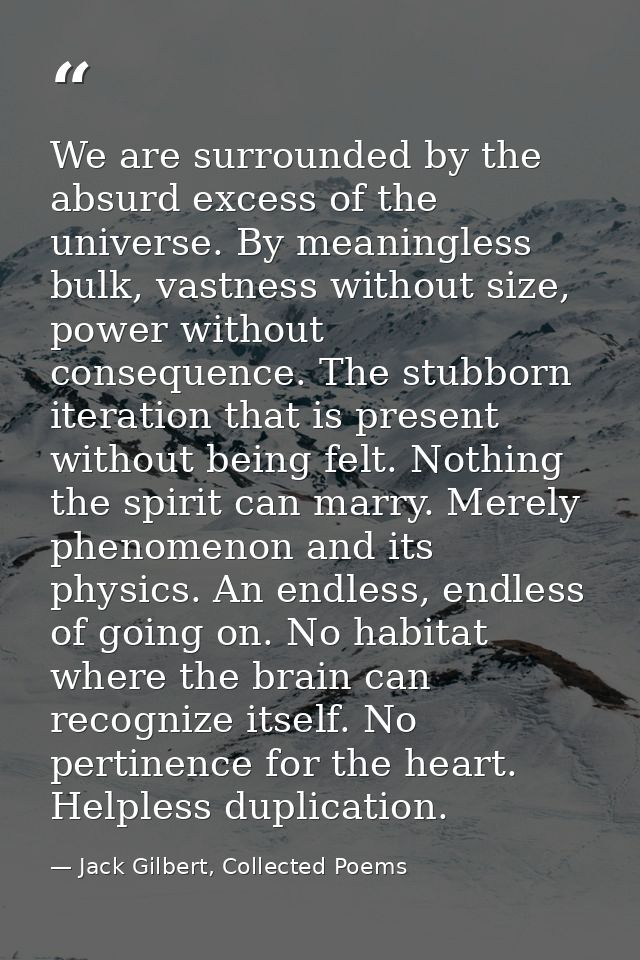 We are surrounded by the absurd excess of the universe. By meaningless bulk, vastness without size, power without conseq — Jack Gilbert, Collected Poems