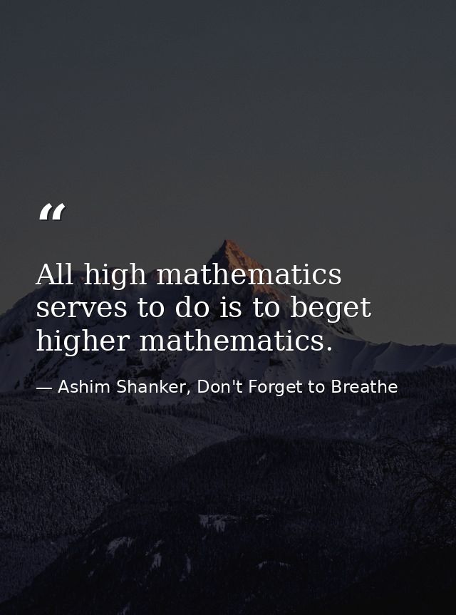 All high mathematics serves to do is to beget higher mathematics. — Ashim Shanker, Don't Forget to Breathe