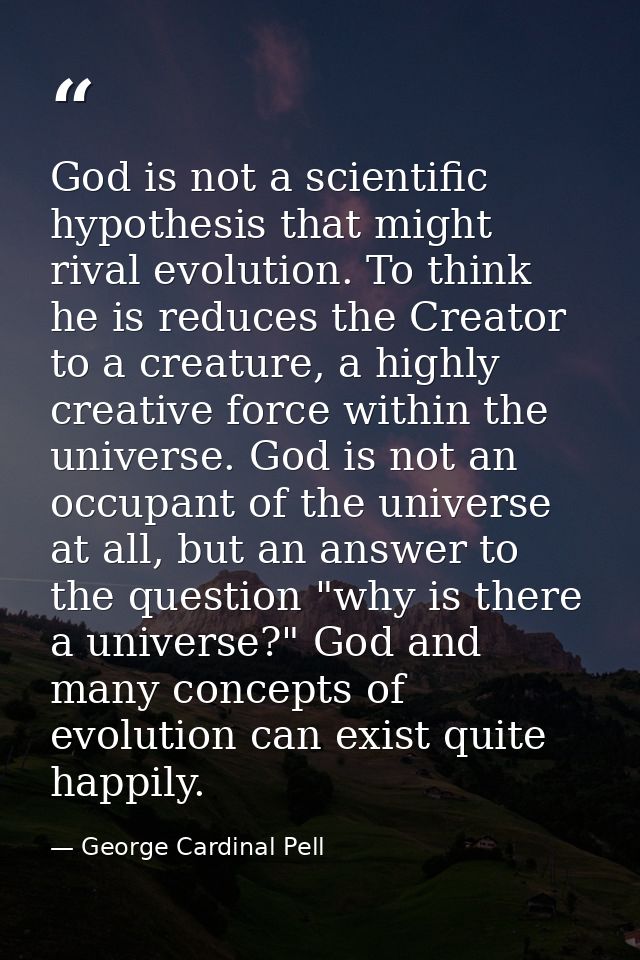 God is not a scientific hypothesis that might rival evolution. To think he is reduces the Creator to a creature, a highl — George Cardinal Pell