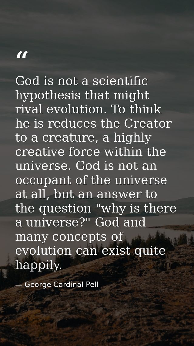 God is not a scientific hypothesis that might rival evolution. To think he is reduces the Creator to a creature, a highl — George Cardinal Pell