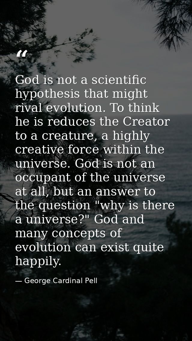 God is not a scientific hypothesis that might rival evolution. To think he is reduces the Creator to a creature, a highl — George Cardinal Pell