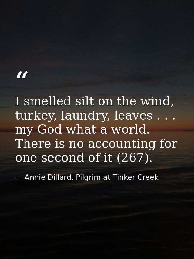 I smelled silt on the wind, turkey, laundry, leaves . . . my God what a world. There is no accounting for one second of  — Annie Dillard, Pilgrim at Tinker Creek