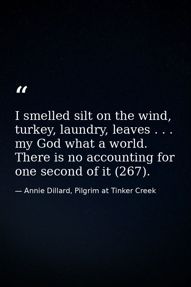 I smelled silt on the wind, turkey, laundry, leaves . . . my God what a world. There is no accounting for one second of  — Annie Dillard, Pilgrim at Tinker Creek