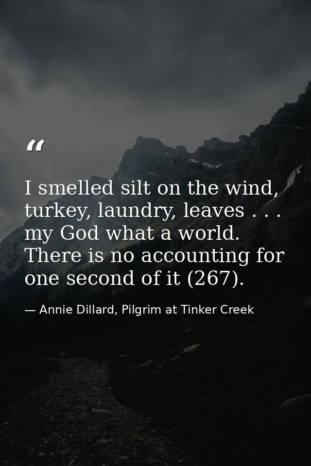 I smelled silt on the wind, turkey, laundry, leaves . . . my God what a world. There is no accounting for one second of  — Annie Dillard, Pilgrim at Tinker Creek