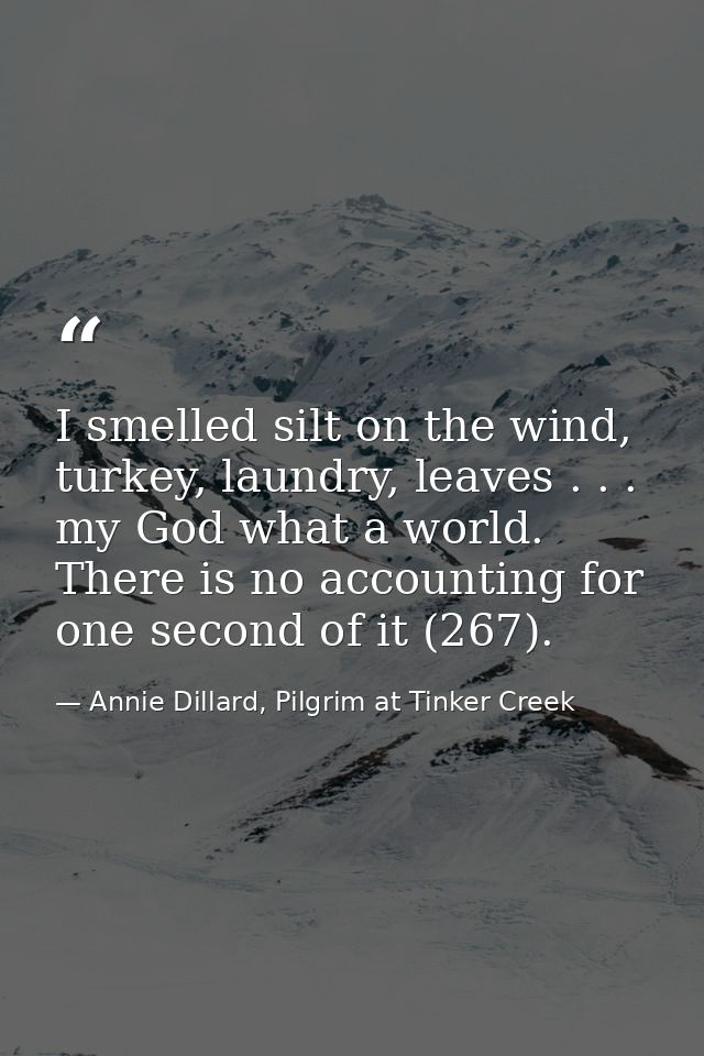 I smelled silt on the wind, turkey, laundry, leaves . . . my God what a world. There is no accounting for one second of  — Annie Dillard, Pilgrim at Tinker Creek