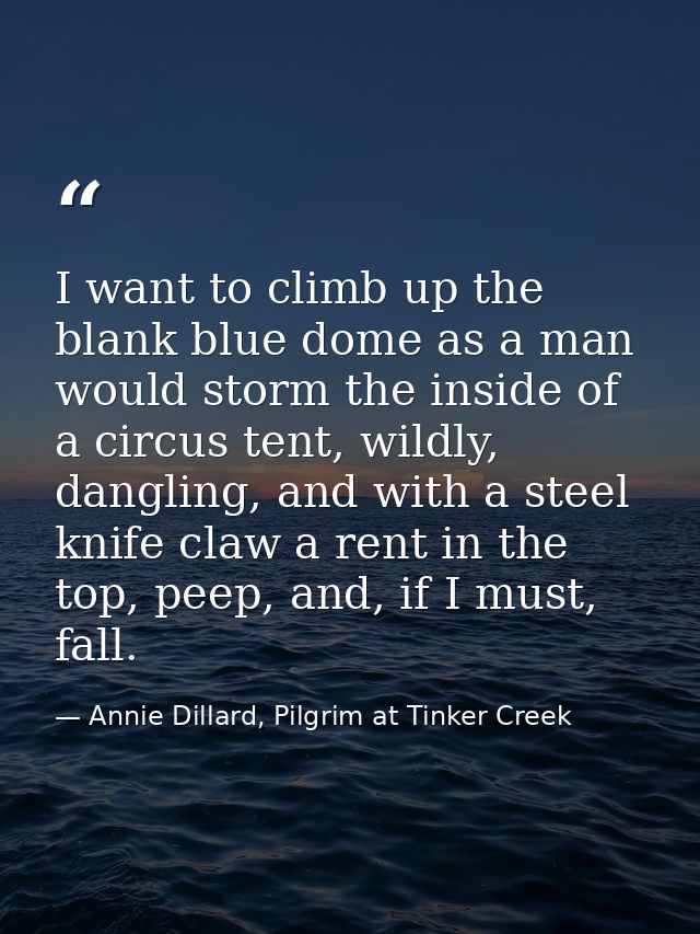 I want to climb up the blank blue dome as a man would storm the inside of a circus tent, wildly, dangling, and with a st — Annie Dillard, Pilgrim at Tinker Creek
