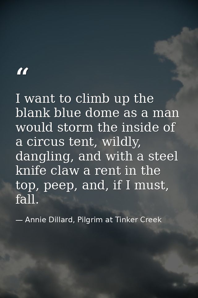 I want to climb up the blank blue dome as a man would storm the inside of a circus tent, wildly, dangling, and with a st — Annie Dillard, Pilgrim at Tinker Creek