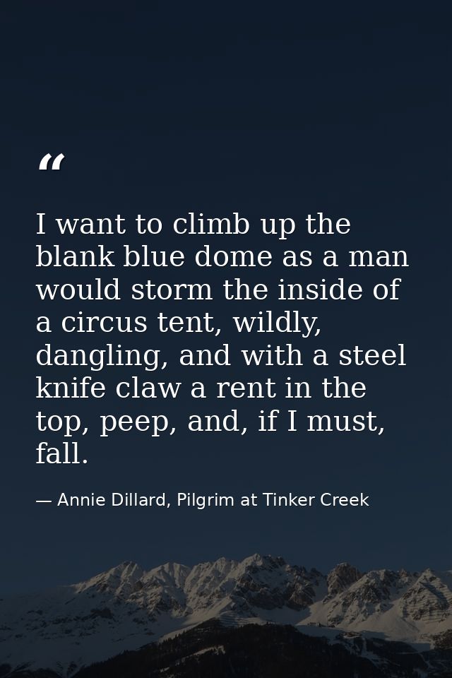 I want to climb up the blank blue dome as a man would storm the inside of a circus tent, wildly, dangling, and with a st — Annie Dillard, Pilgrim at Tinker Creek