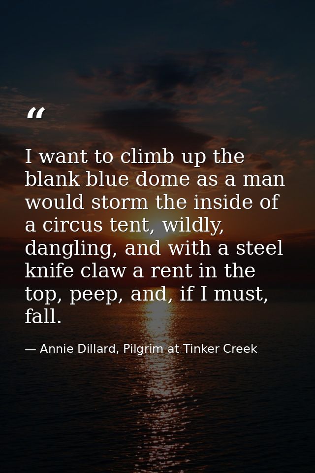I want to climb up the blank blue dome as a man would storm the inside of a circus tent, wildly, dangling, and with a st — Annie Dillard, Pilgrim at Tinker Creek