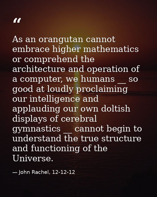 As an orangutan cannot embrace higher mathematics or comprehend the architecture and operation of a computer, we humans  — John Rachel, 12-12-12