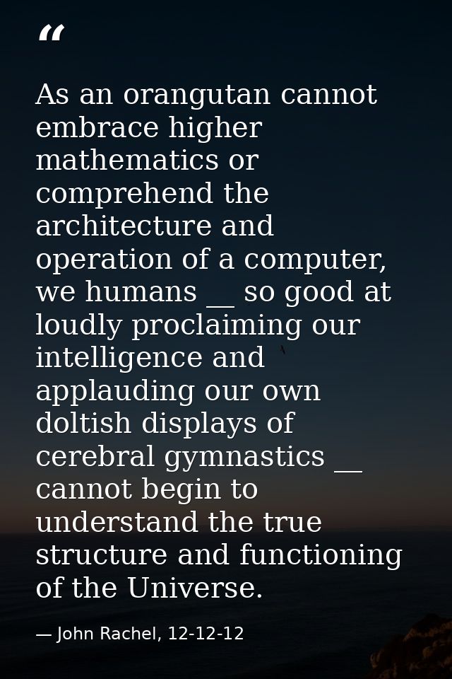 As an orangutan cannot embrace higher mathematics or comprehend the architecture and operation of a computer, we humans  — John Rachel, 12-12-12
