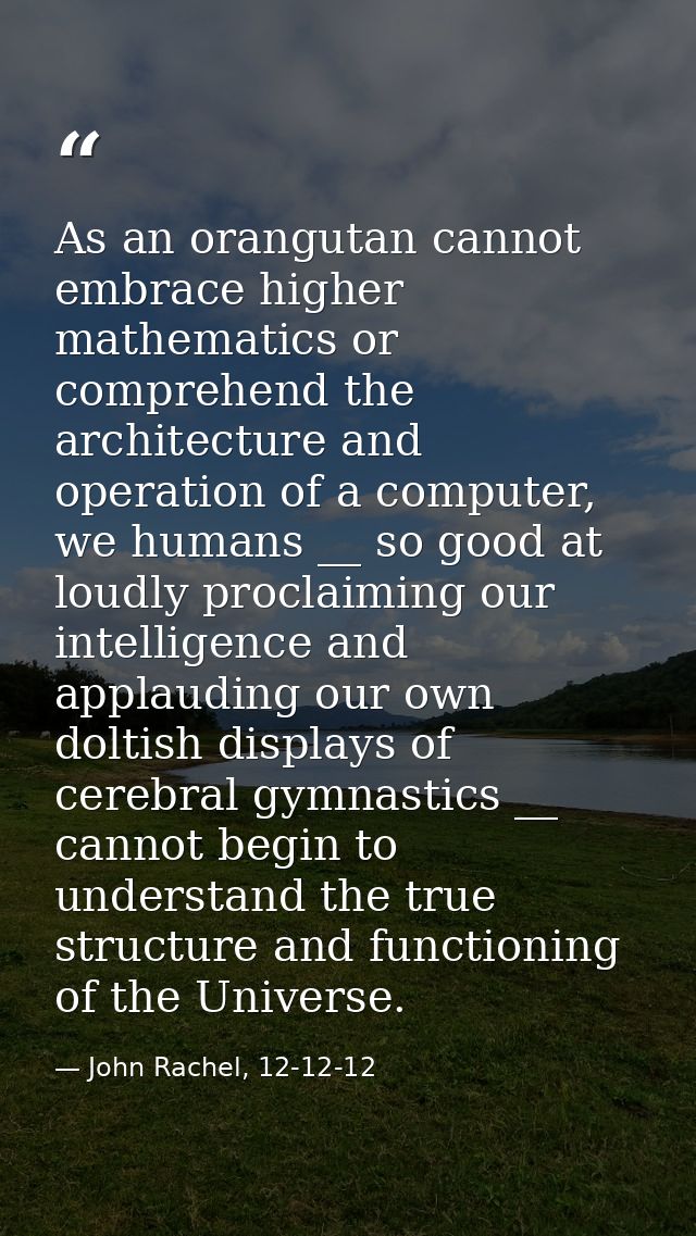 As an orangutan cannot embrace higher mathematics or comprehend the architecture and operation of a computer, we humans  — John Rachel, 12-12-12