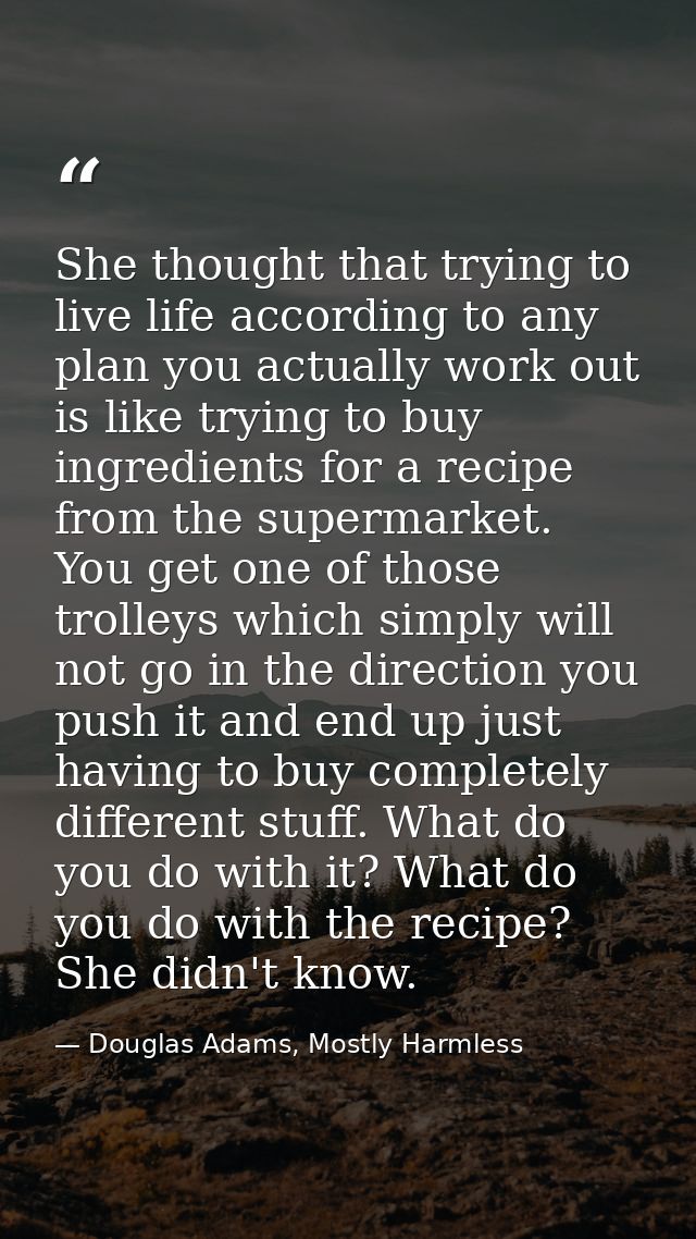 She thought that trying to live life according to any plan you actually work out is like trying to buy ingredients for a — Douglas Adams, Mostly Harmless