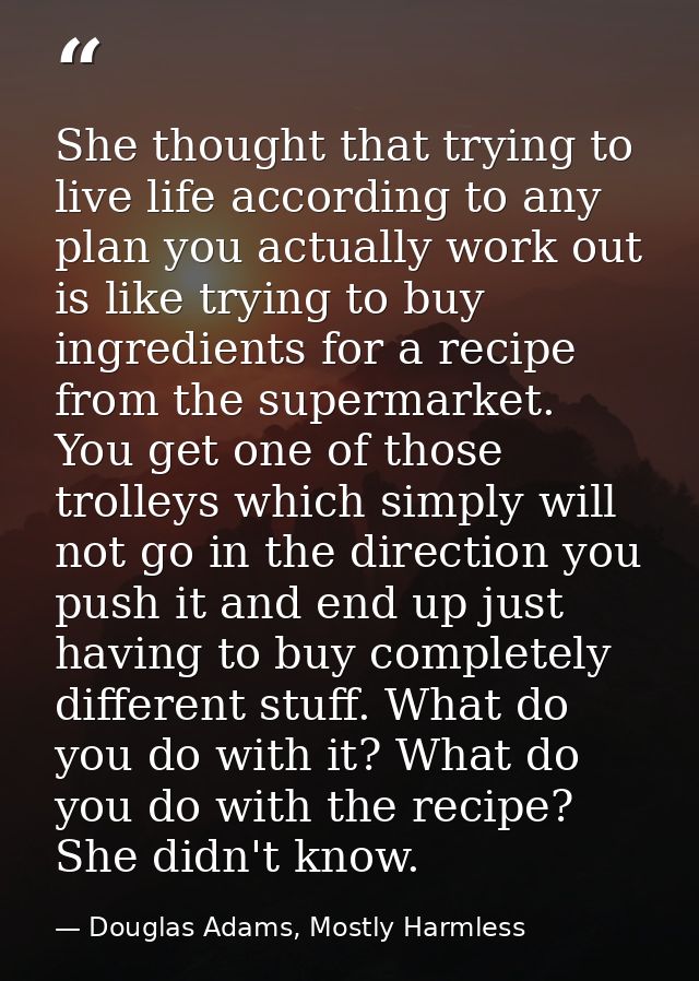 She thought that trying to live life according to any plan you actually work out is like trying to buy ingredients for a — Douglas Adams, Mostly Harmless