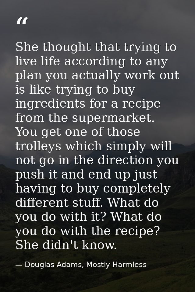 She thought that trying to live life according to any plan you actually work out is like trying to buy ingredients for a — Douglas Adams, Mostly Harmless
